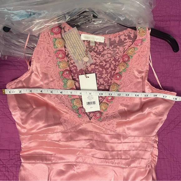 LoveShakeFancy Mirette Silk Gown SZ 6 in Powder Pink - Picture 15 of 16